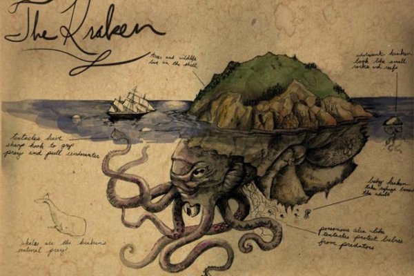 Kraken official